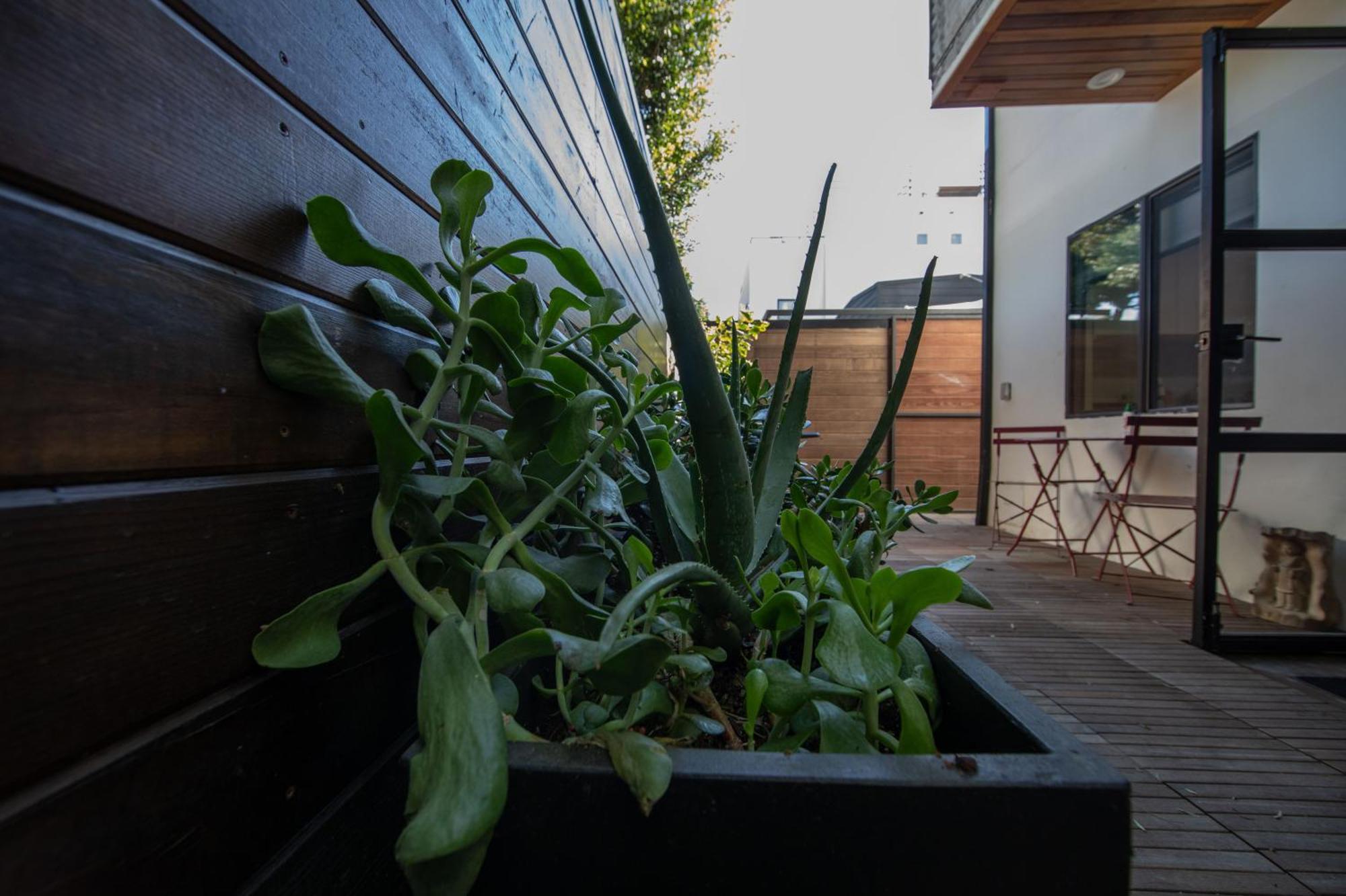 Venice Beach Studio With Large Private Patio Steps To The Beach Лос Анджелис Екстериор снимка
