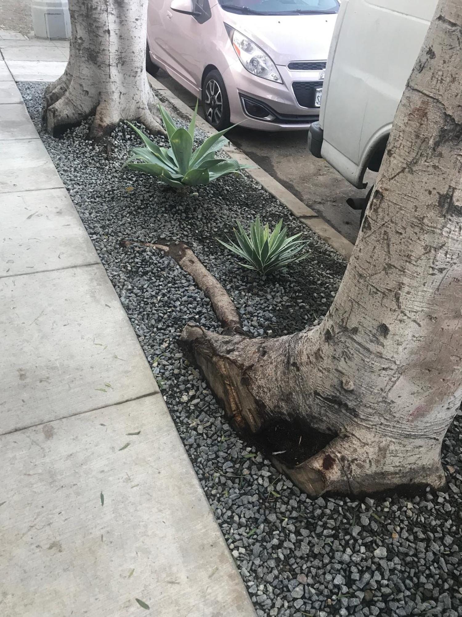 Venice Beach Studio With Large Private Patio Steps To The Beach Лос Анджелис Екстериор снимка